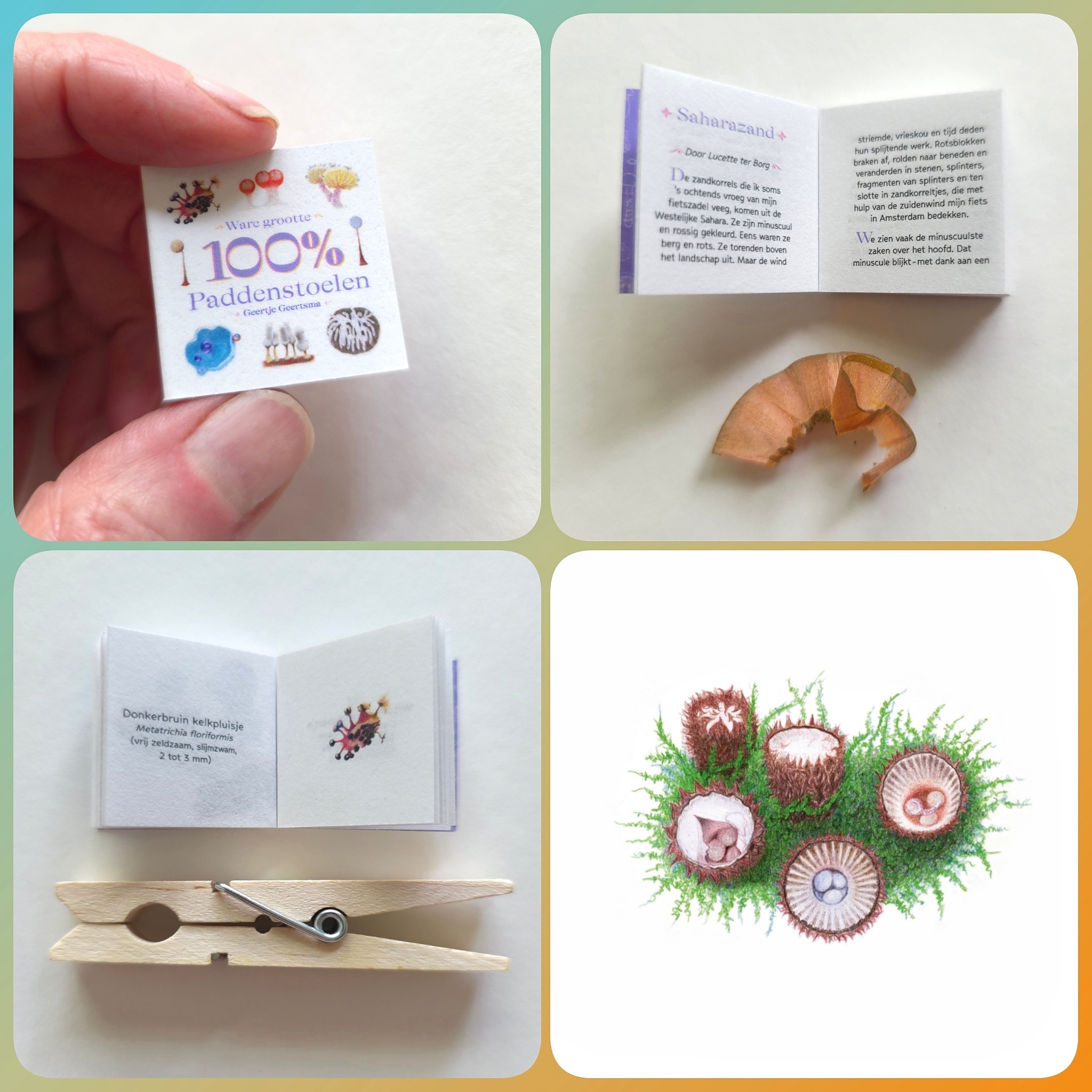 Miniatuurboekje - Ware grootte, 100 % Paddenstoelen!